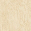 Plywood