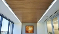 PVC Ceiling