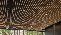 Wooden Ceiling