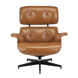 Eames Lounge Chair