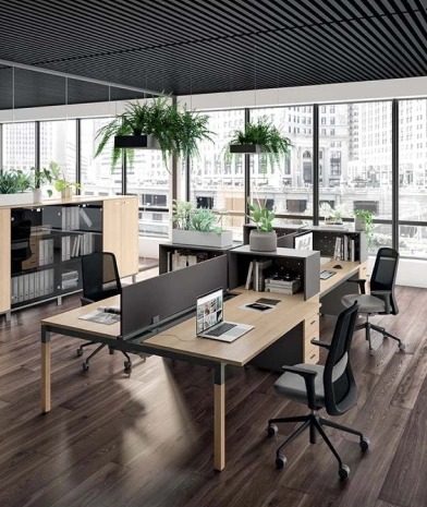 Office design